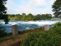 American Rapids