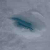 IMG 4132