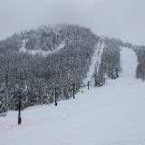 IMG 4157
