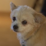 IMG 3706