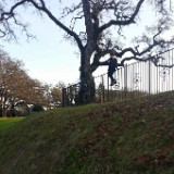IMG 20161124 161442