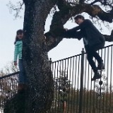 IMG 20161124 161452