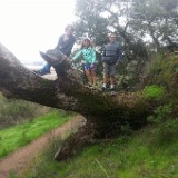IMG 20161125 131755