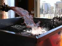 IMG 4175